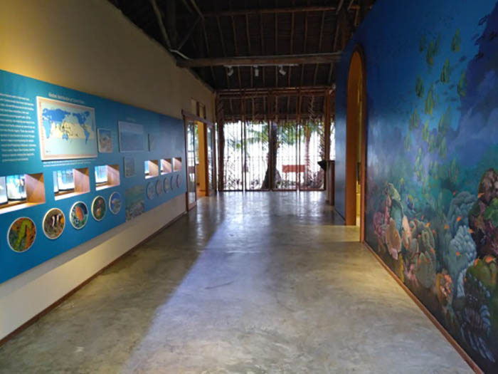 Phi Phi Island learning zone